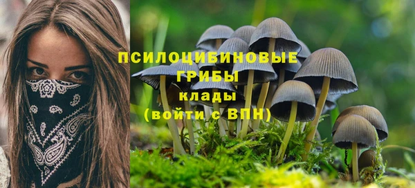 а пвп мука Абаза